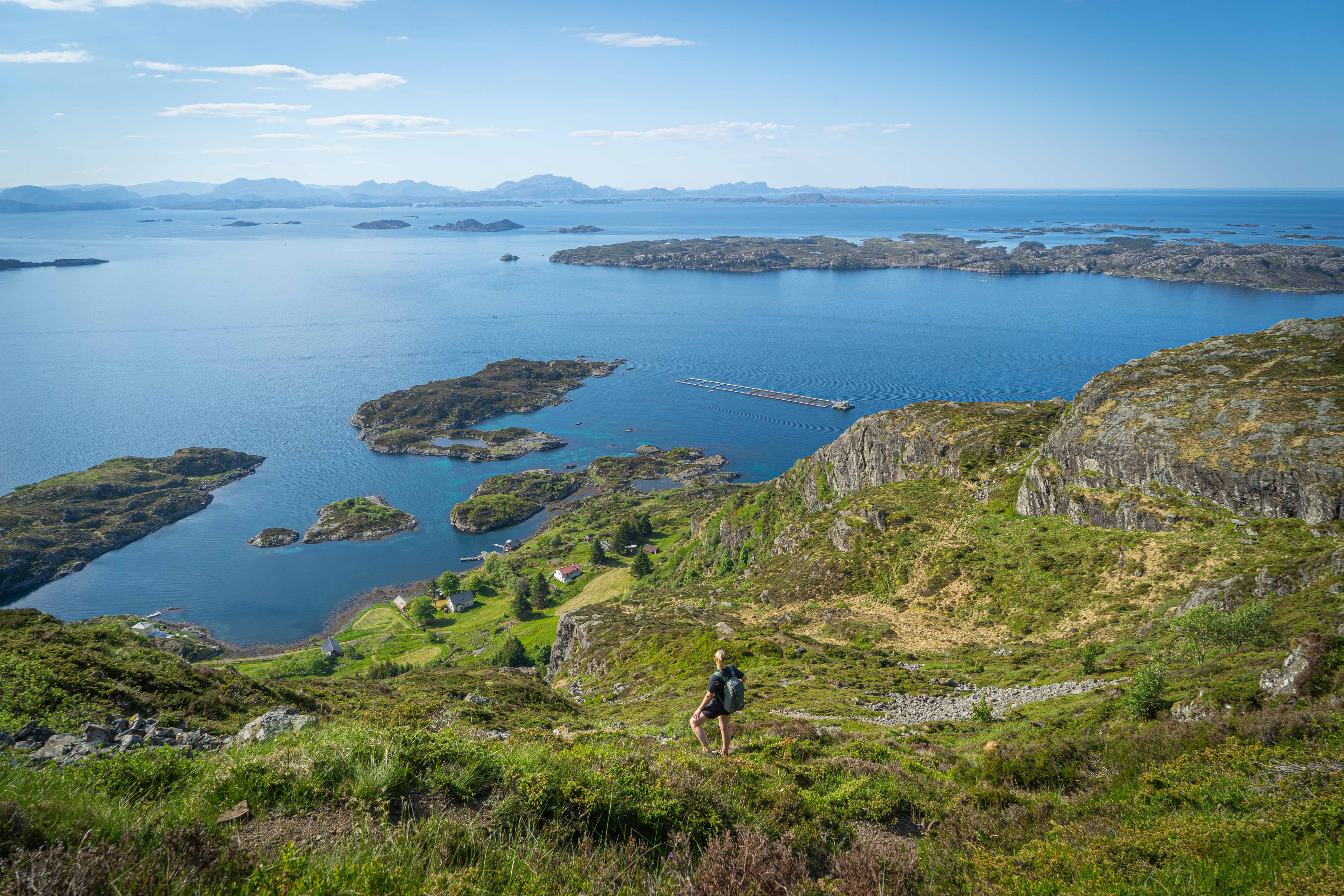 Hike to Alden - The Norwegian Horse | Hiking | Værlandet